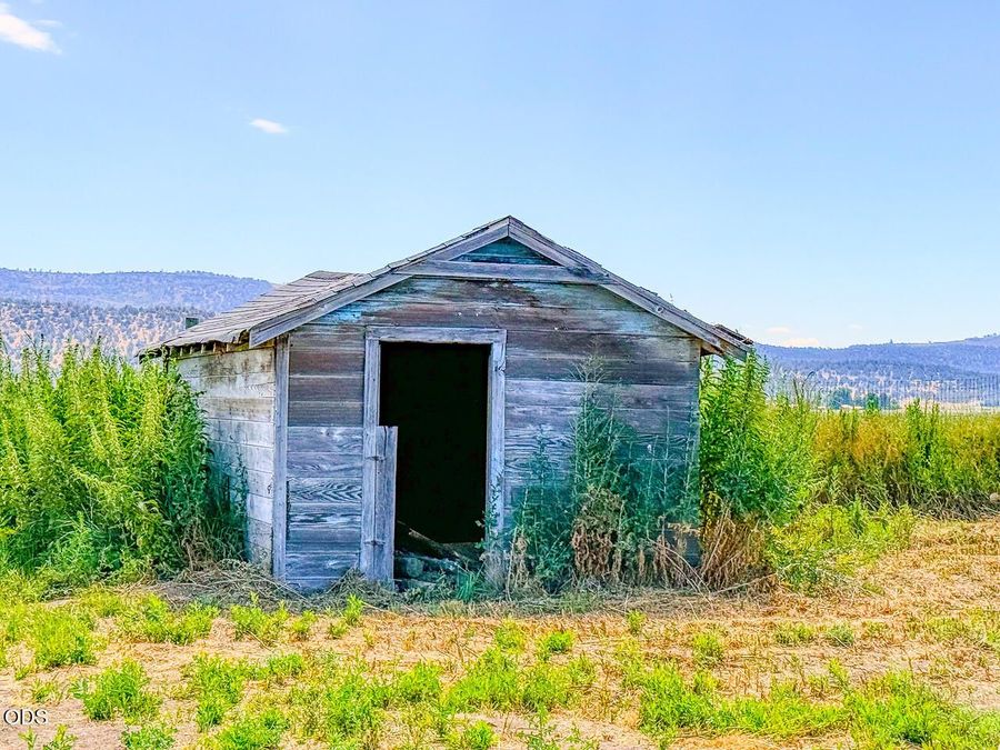 Property Image 38