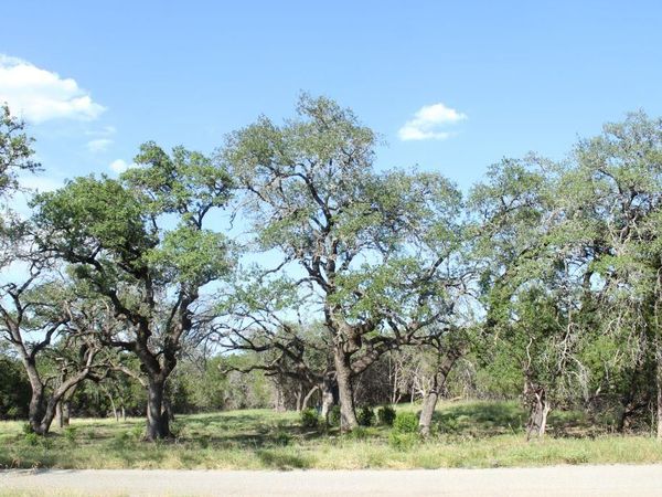 Lots 56-57 Travis Oaks DR, Marble Falls, TX 78654