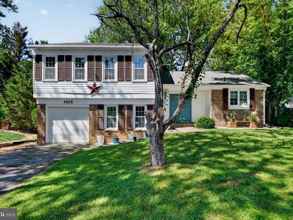 4525 FLINTSTONE ROAD, ALEXANDRIA, VA 22306