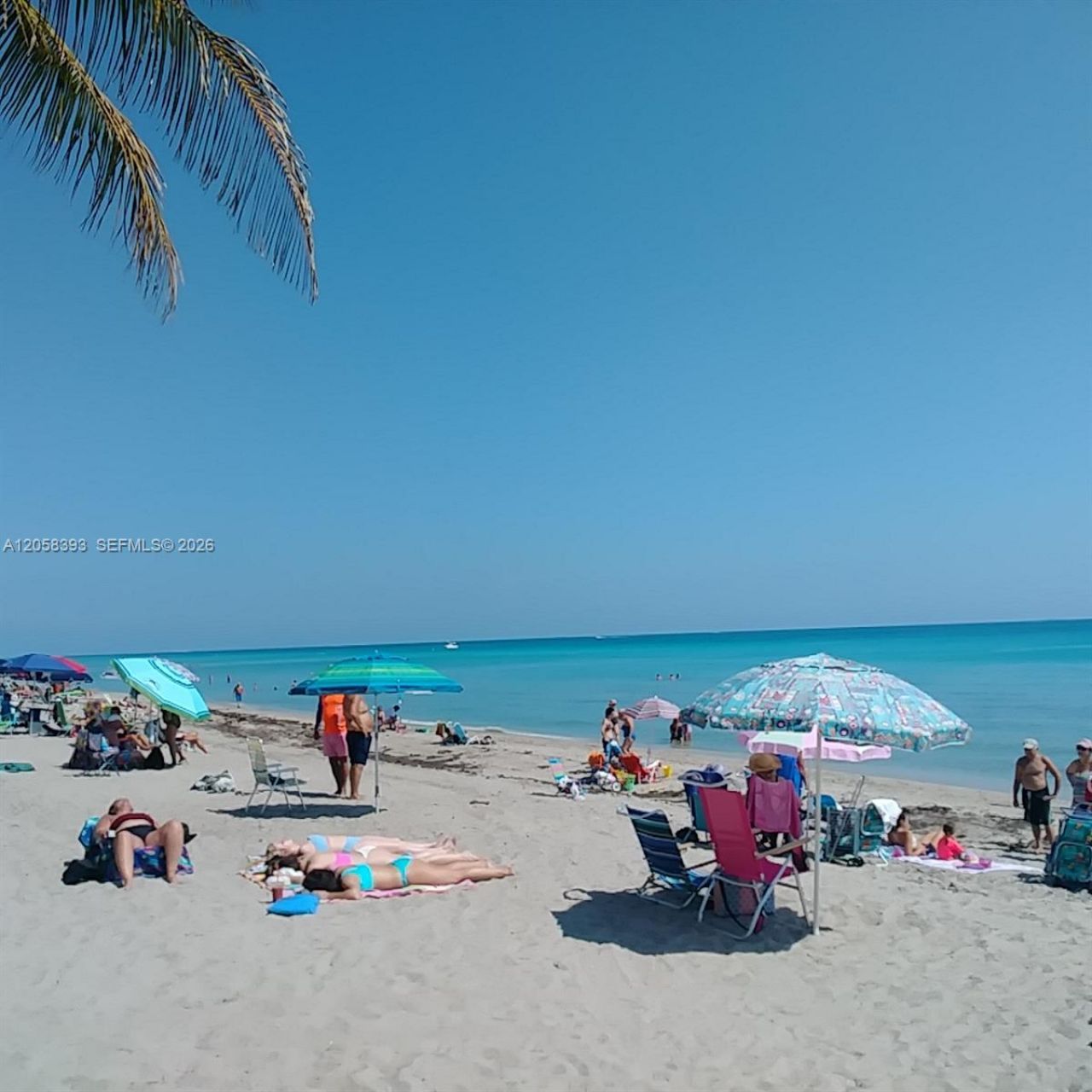 3135 S Ocean Dr , Unit 227, Hallandale Beach, FL 33009 Photo