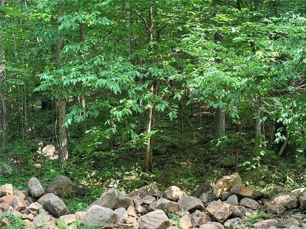 000 Terrapin Road , Harrison, AR 72601
