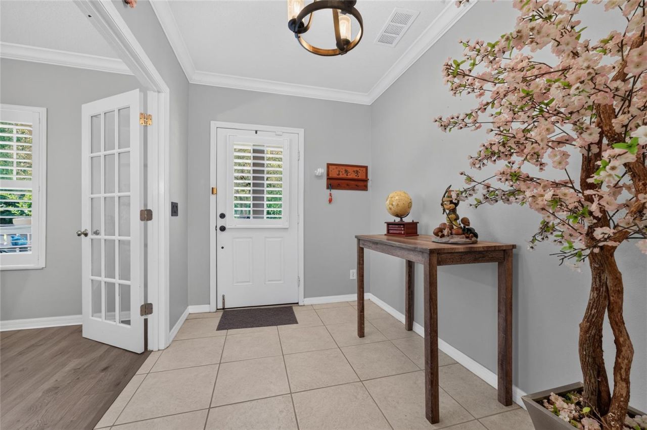 1037 Old Blush Rd , Celebration, FL 34747 Photo