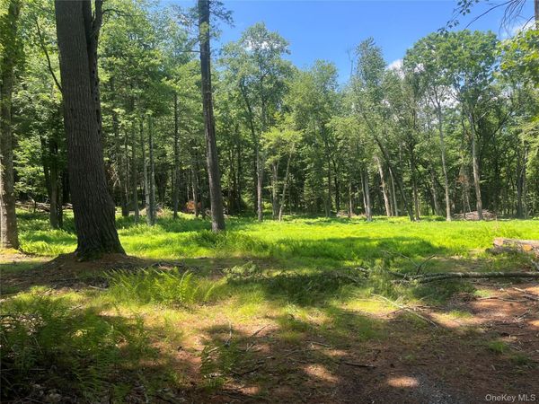 Geba Drive , Glen Spey, NY 12737