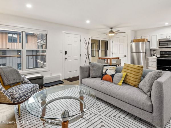 1020 E Durant Avenue, Unit 203, Aspen, CO 81611