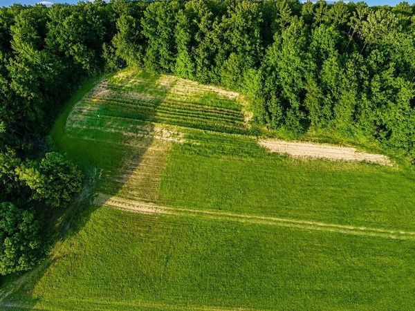 TBD County Road 260, Bruce, MS 38915