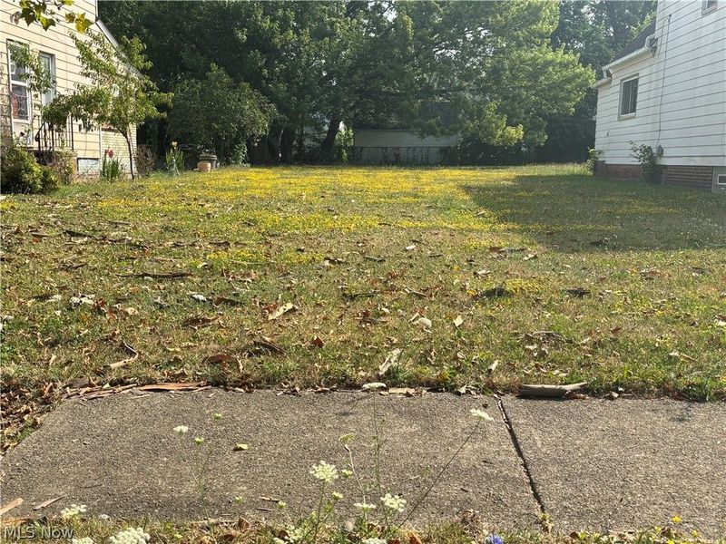 835 Whitcomb Road, Cleveland, OH 44110 Photo 2