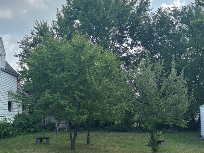 829 Whitcomb Road, Cleveland, OH 44110 Photo 5
