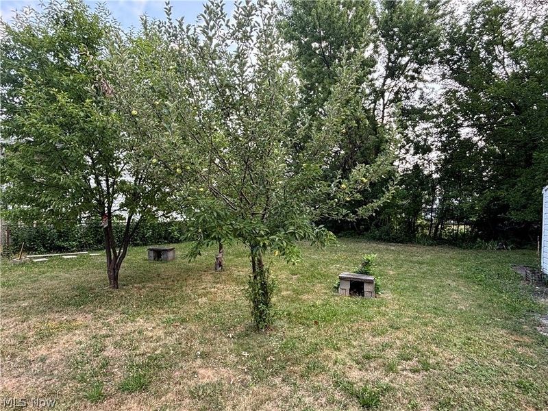 829 Whitcomb Road, Cleveland, OH 44110 Photo 6