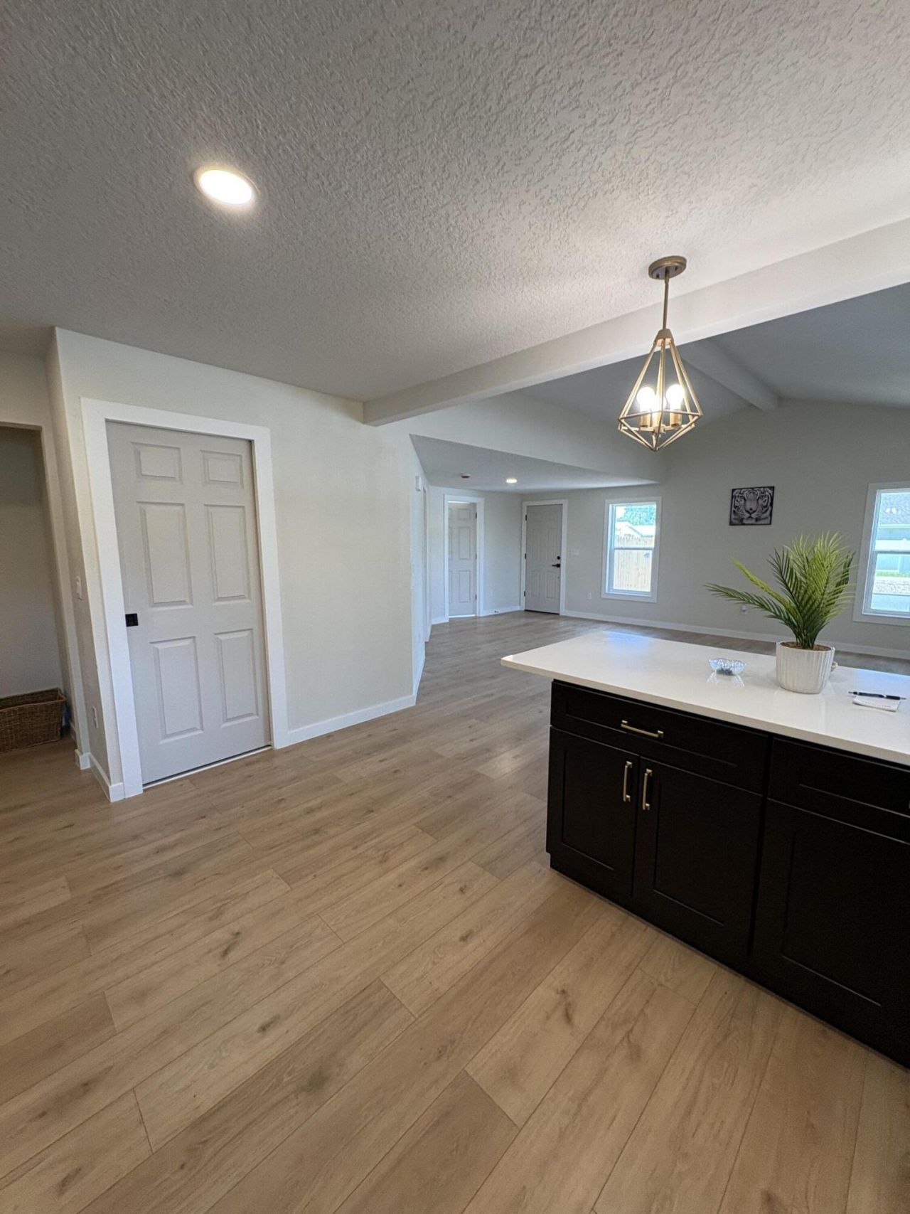 6948 Dartmouth Avenue N, Saint Petersburg, FL 33710 Photo