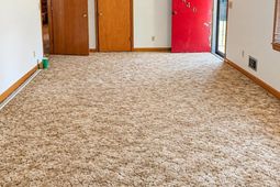446 Holloway Street photo 4