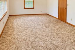 446 Holloway Street photo 4
