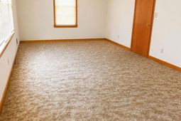 446 Holloway Street  photo 4