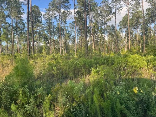 TBD NW CR 235 , LAKE BUTLER, FL 32054