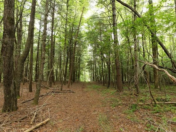 TBD Mcintosh Drive , Lowgap, NC 27024