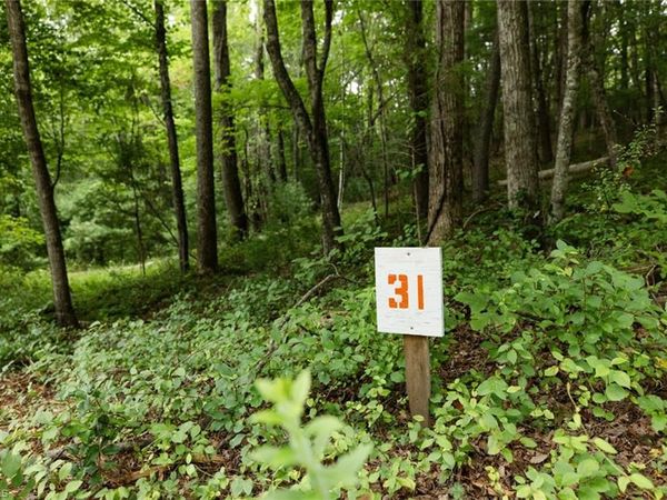 TBD Mcintosh Drive , Lowgap, NC 27024