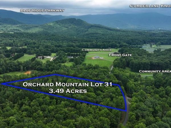 TBD Mcintosh Drive , Lowgap, NC 27024