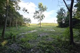 1420 Bill Davis Road photo 4