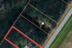 1420 Bill Davis Road photo 4