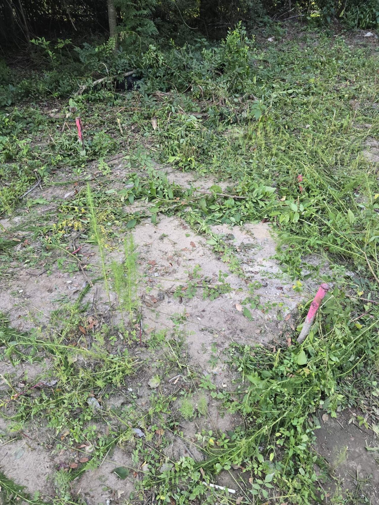 1420 Bill Davis Road Photo 4