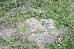1420 Bill Davis Road photo 4