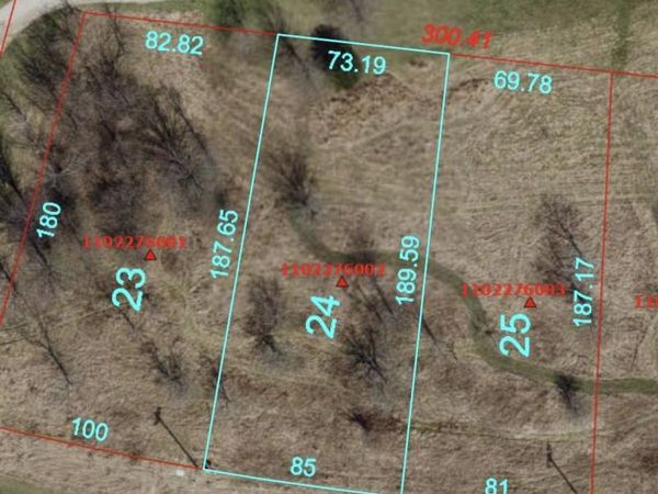 7024 OAK RUN Drive, Dahinda, IL 61428