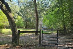 974 Spruce Street photo 4