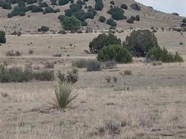 Parcel 62 Horse Creek Road, Pueblo, CO 81004