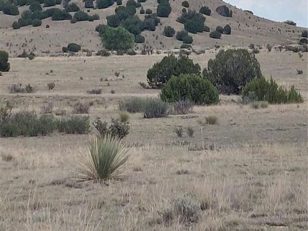 Parcel 62 Horse Creek Road, Pueblo, CO 81004
