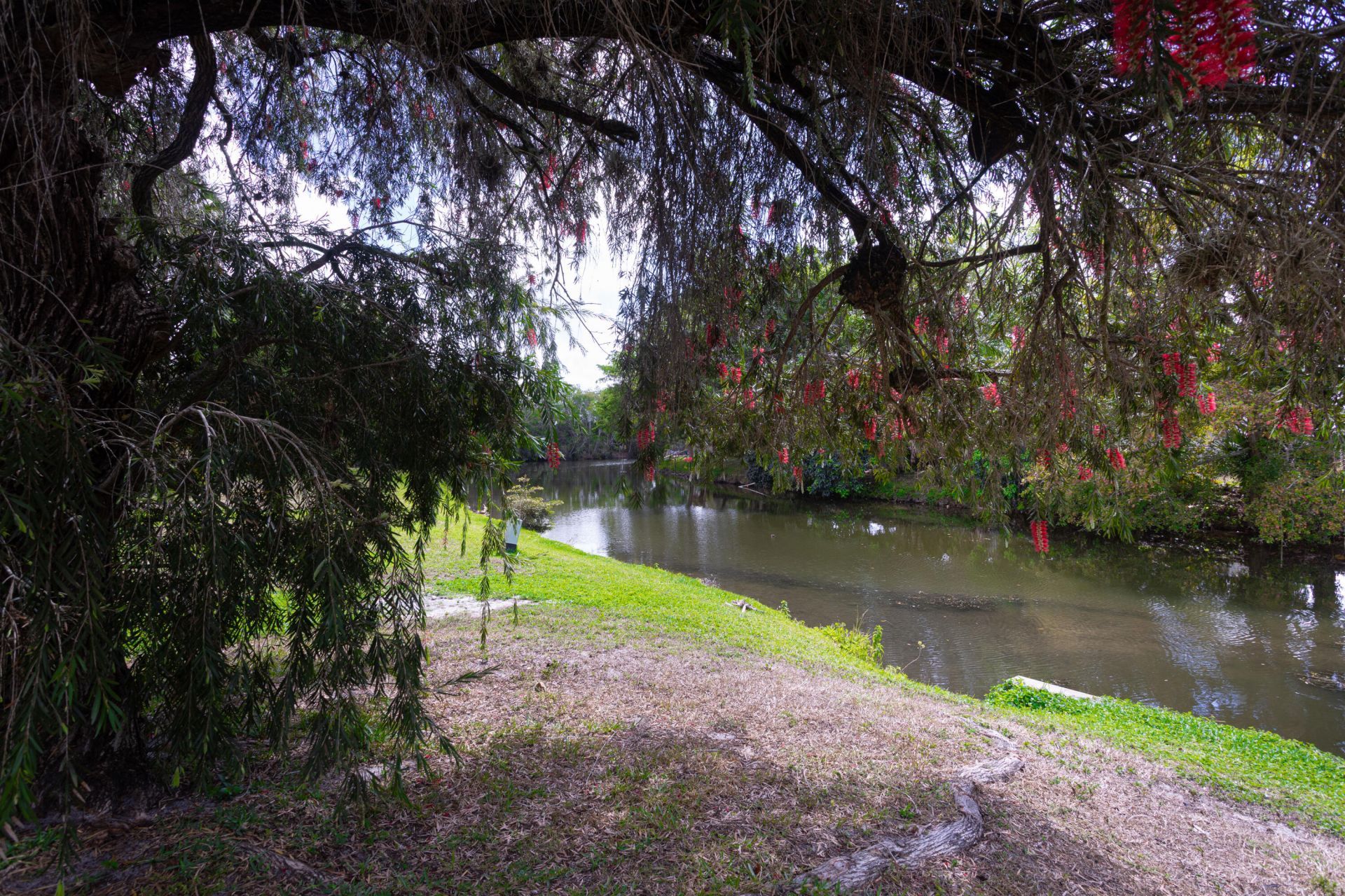 202 Sparrow Drive, Unit 1, Royal Palm Beach, FL 33411 Photo