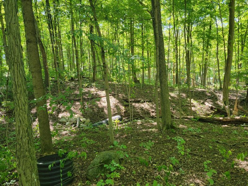 6152 Jaycox Road, Galena, OH 43021 Photo 2