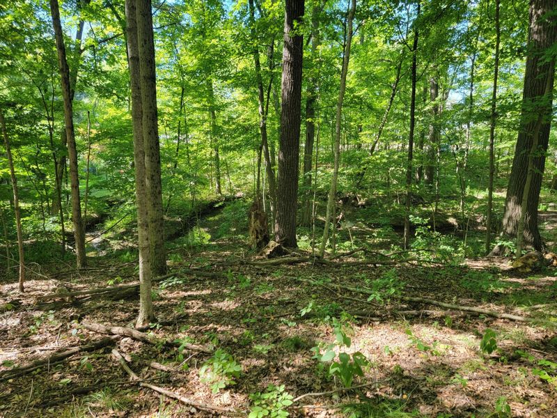6152 Jaycox Road, Galena, OH 43021 Photo 3