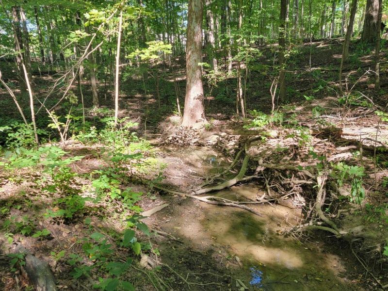 6152 Jaycox Road, Galena, OH 43021 Photo 4