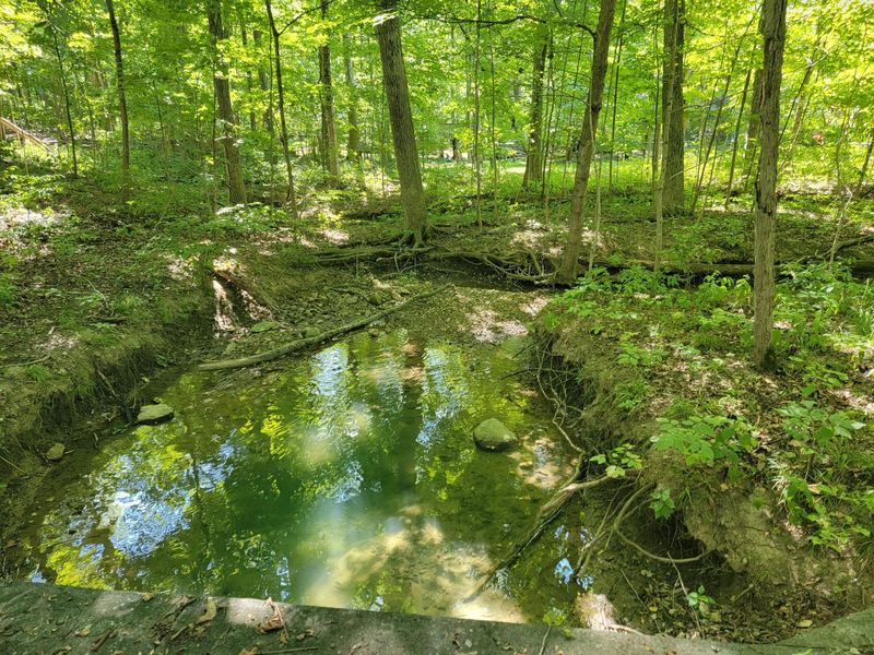 6152 Jaycox Road, Galena, OH 43021 Photo 5