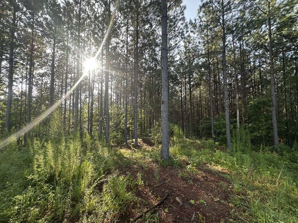 153 Beach Rd , Unit 139, Hohenwald, TN 38462