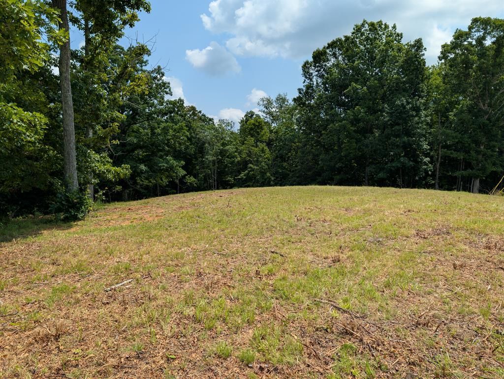 4.25ac Davidson Rd, Burkesville, KY 42717 Main Photo