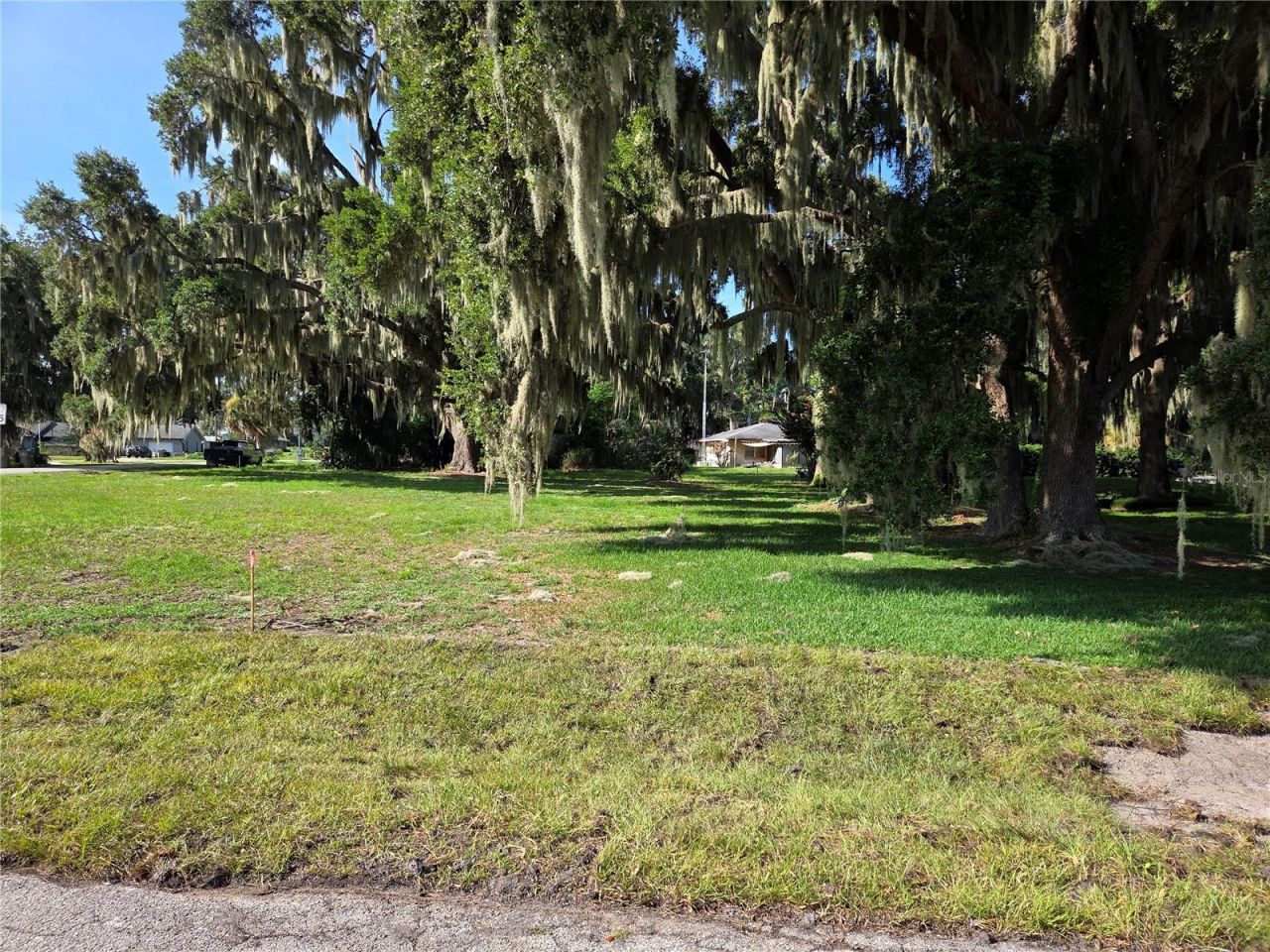 Lakeside Drive , Yalaha, FL 34797 Photo