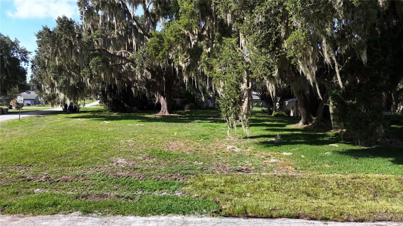 Lakeside Drive , Yalaha, FL 34797 Photo