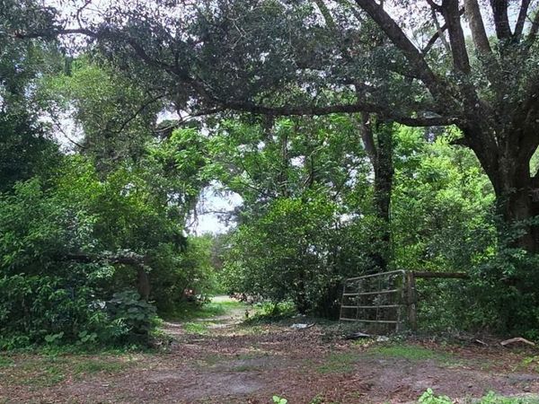 21320 SENECA HILLS ROAD, EUSTIS, FL 32736