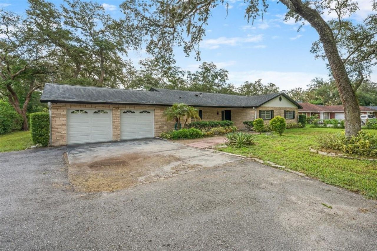 12301 N 53rd Street, Temple Terrace, FL 33617 Photo