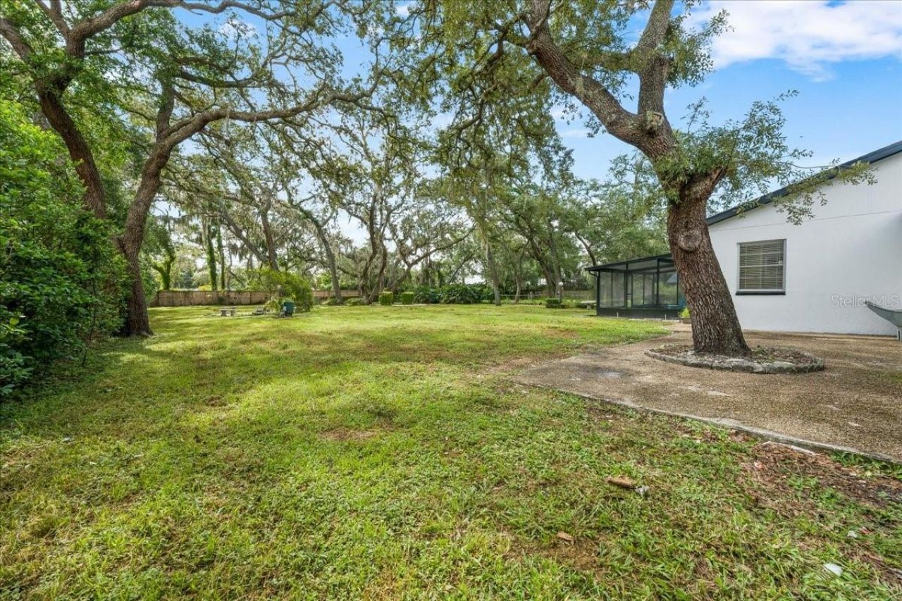 12301 N 53rd Street, Temple Terrace, FL 33617 Photo