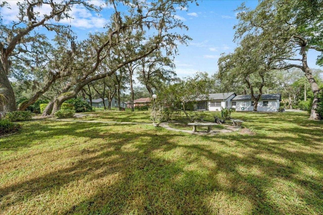 12301 N 53rd Street, Temple Terrace, FL 33617 Photo