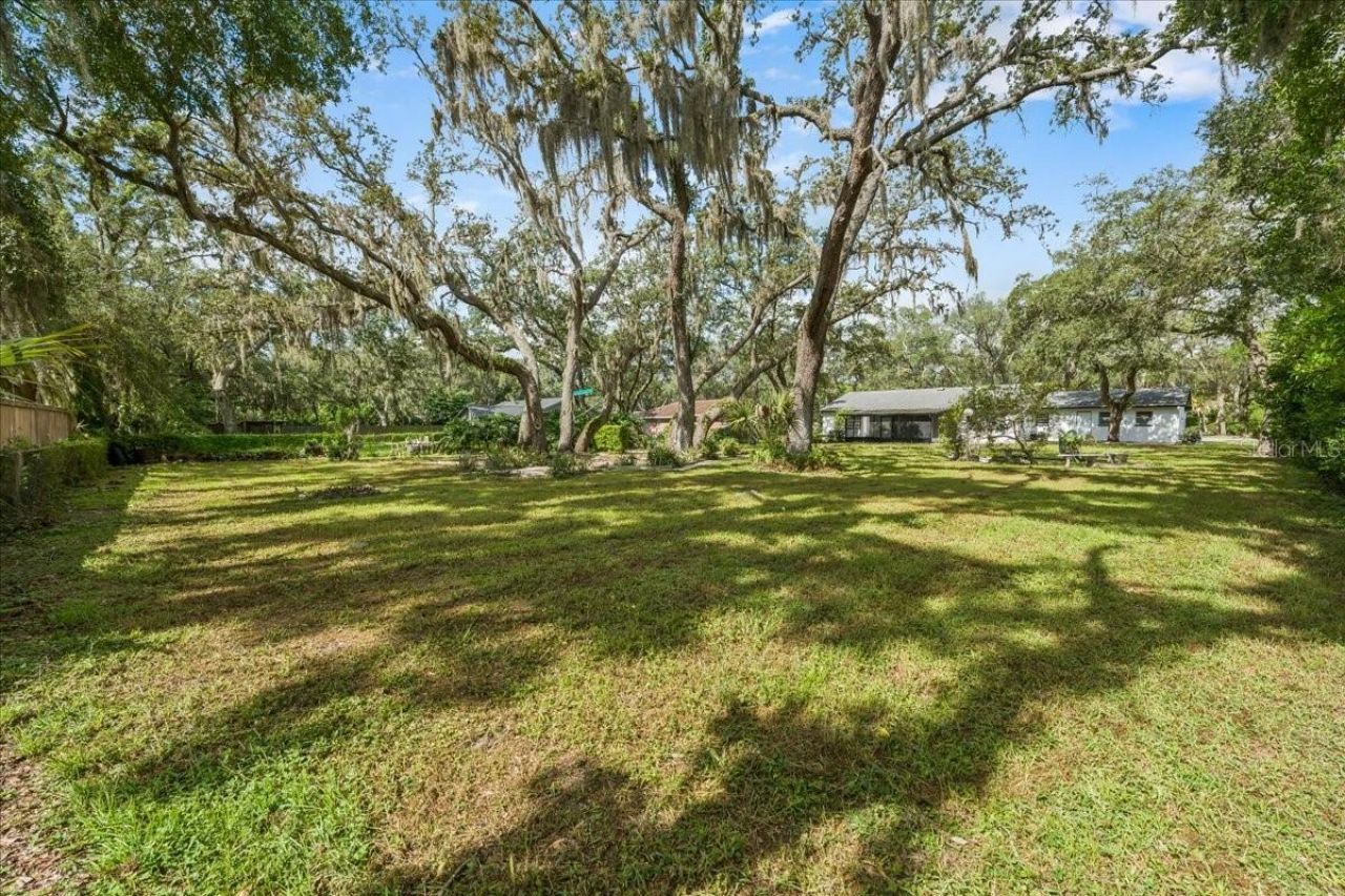 12301 N 53rd Street, Temple Terrace, FL 33617 Photo