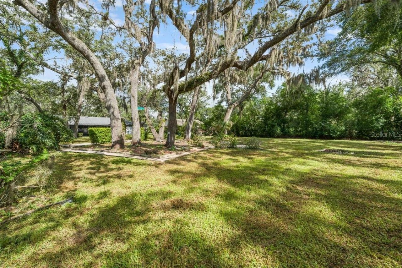12301 N 53rd Street, Temple Terrace, FL 33617 Photo