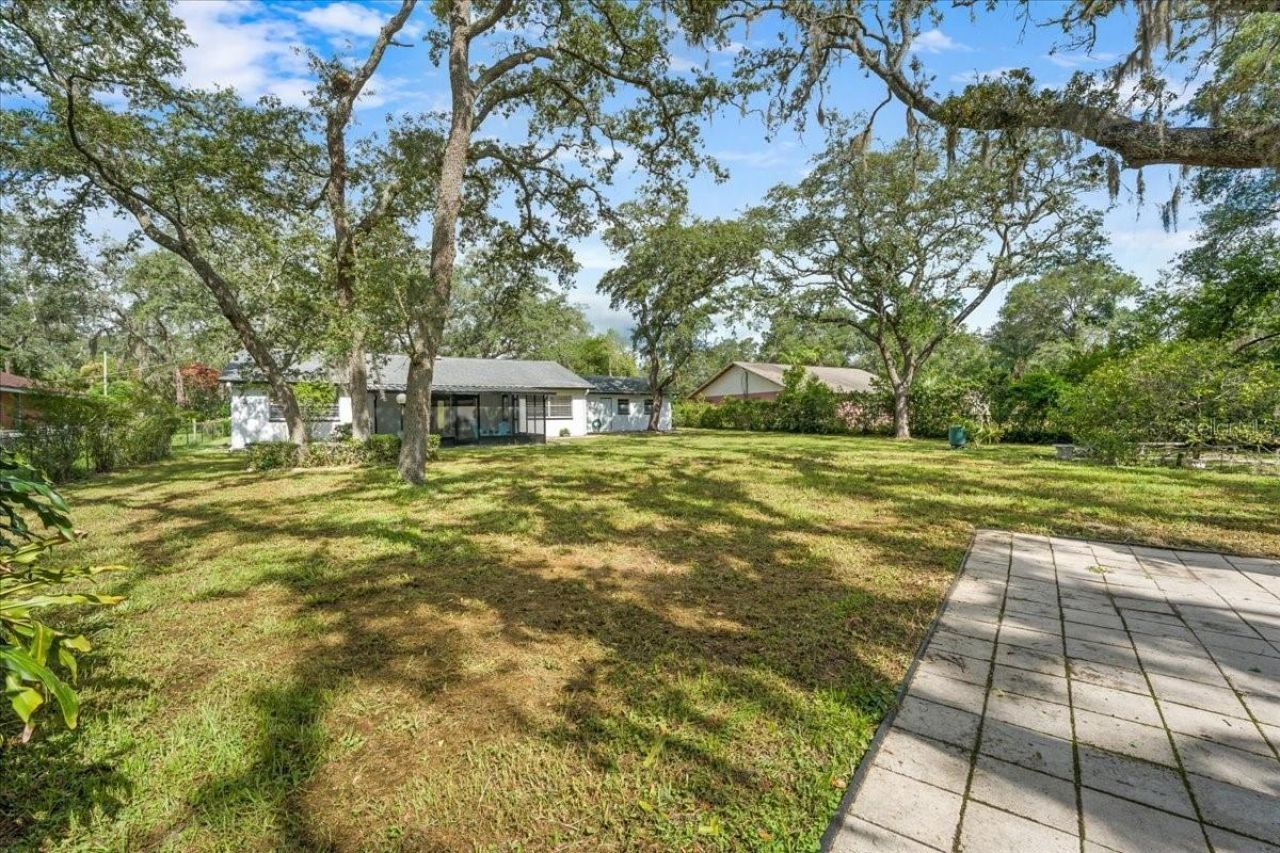12301 N 53rd Street, Temple Terrace, FL 33617 Photo
