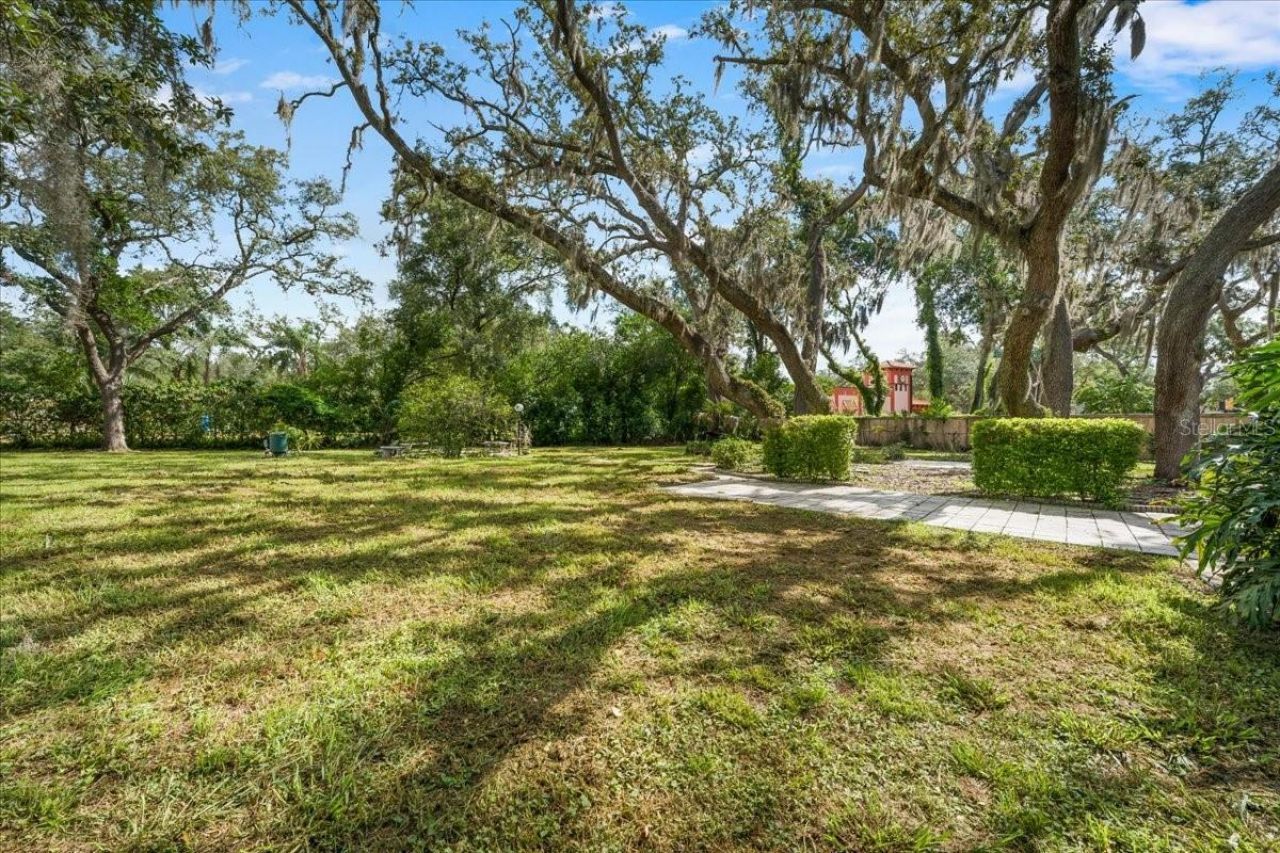 12301 N 53rd Street, Temple Terrace, FL 33617 Photo