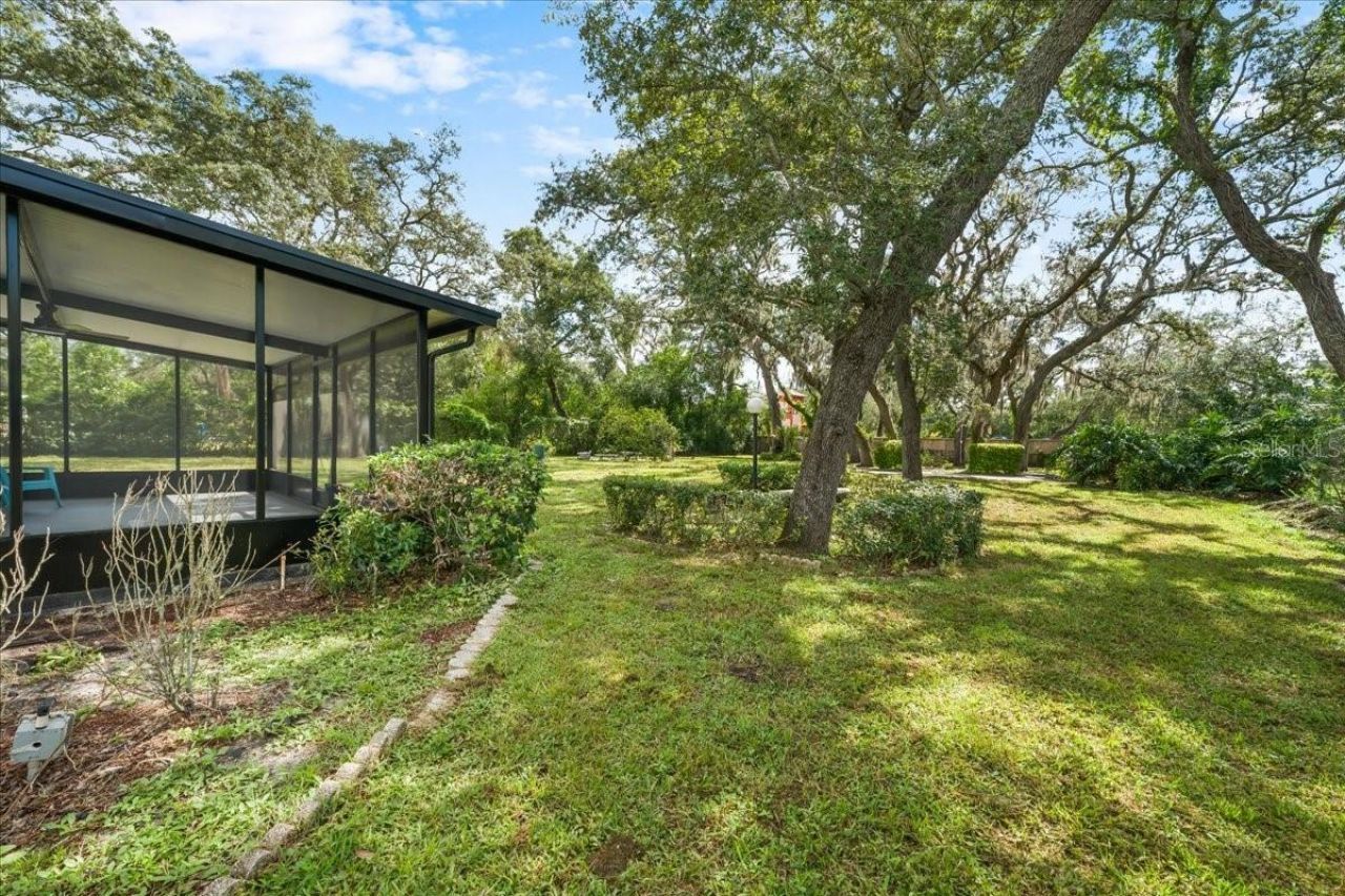 12301 N 53rd Street, Temple Terrace, FL 33617 Photo