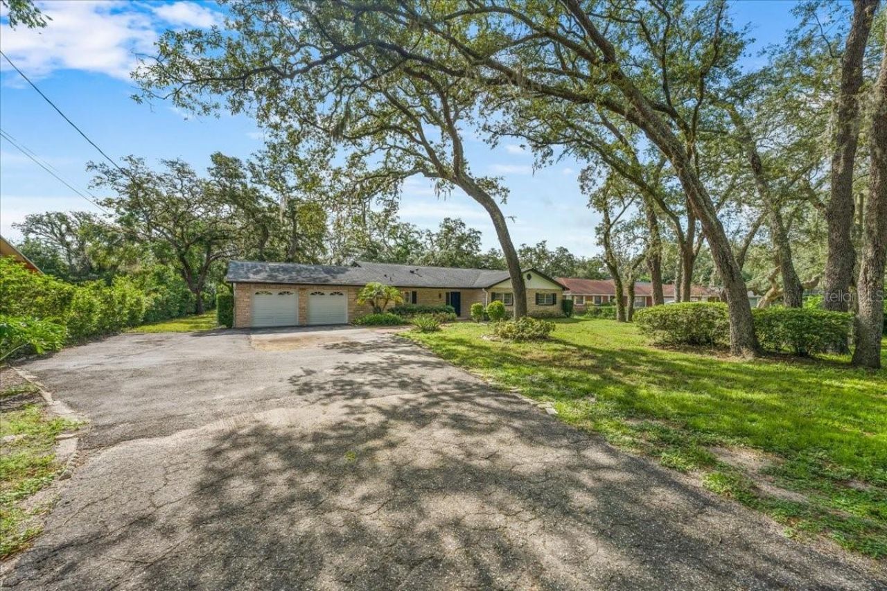 12301 N 53rd Street, Temple Terrace, FL 33617 Photo