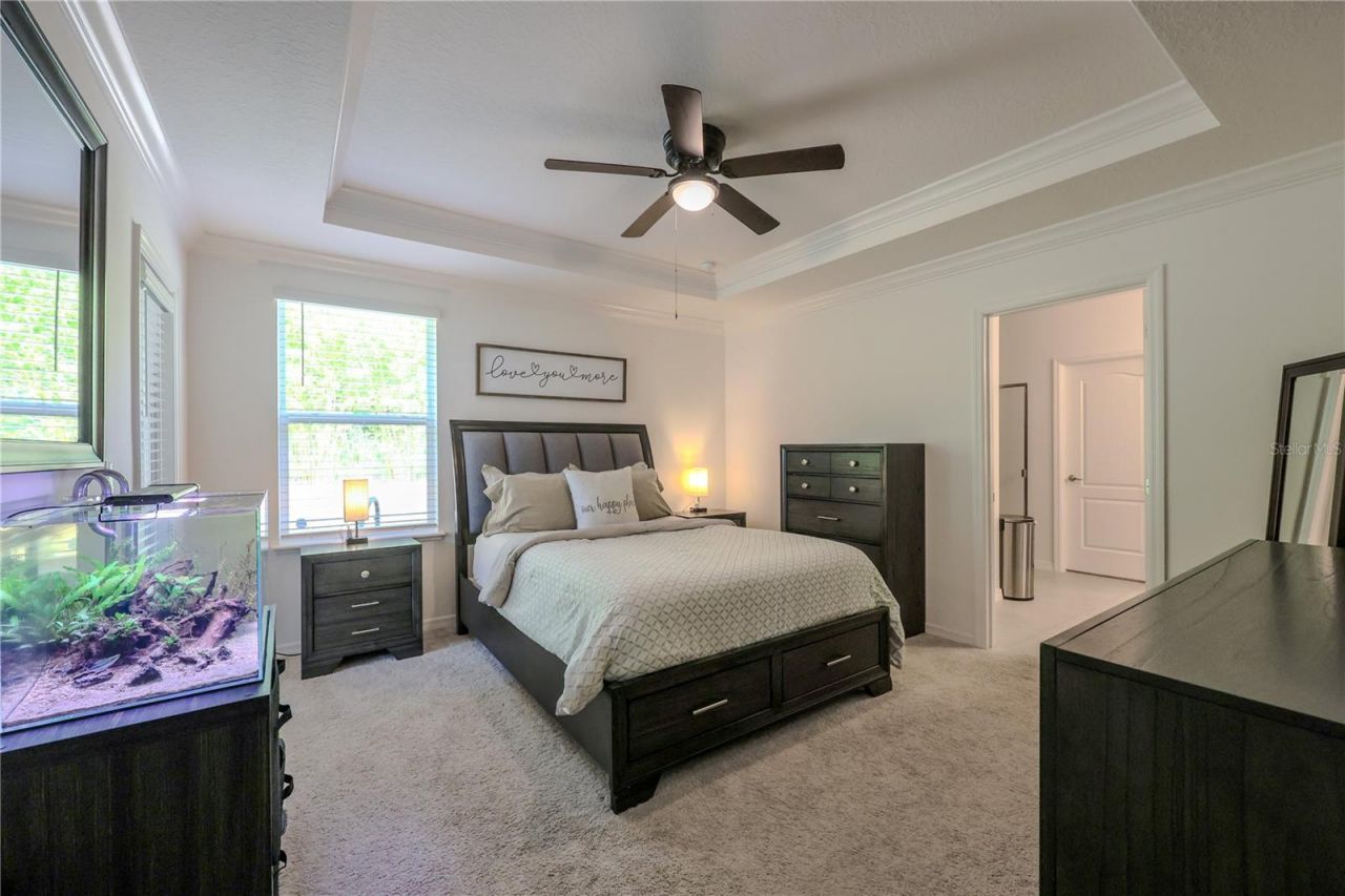 1113 Bradford Ridge Drive, Leesburg, FL 34748 Photo