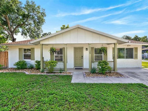 1125 N TREMAIN STREET , MOUNT DORA, FL 32757