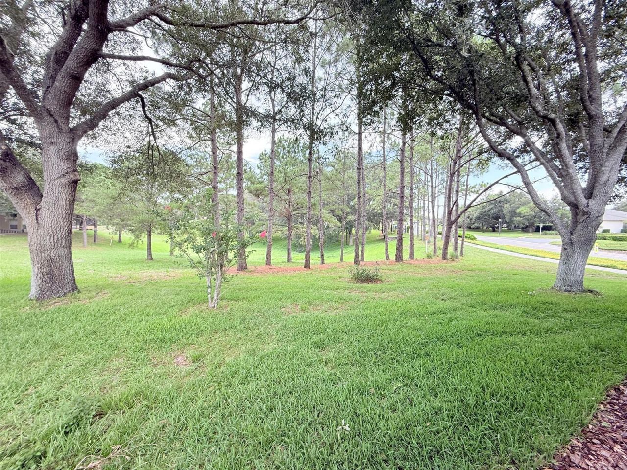 265 Center Oak Circle , Spring Hill, FL 34609 Photo